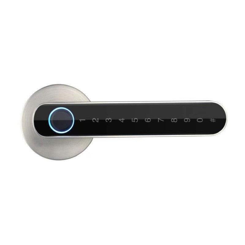 Fingerprint Wooden Door Smart Lock