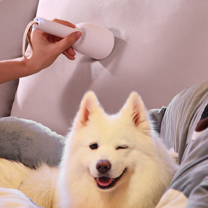 Portable Handheld Vacuum Cleaner